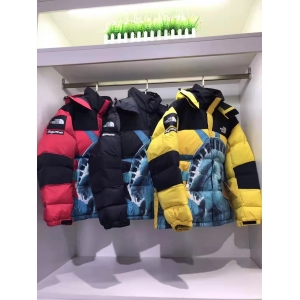 Supreme The North Face 联名自由女神连
