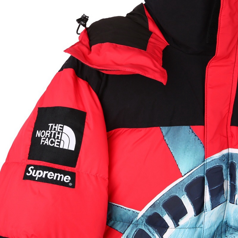 Supreme The North Face 联名自由女神连帽羽绒服顶级(图9)