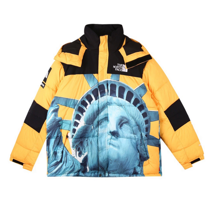 Supreme The North Face 联名自由女神连帽羽绒服顶级(图6)