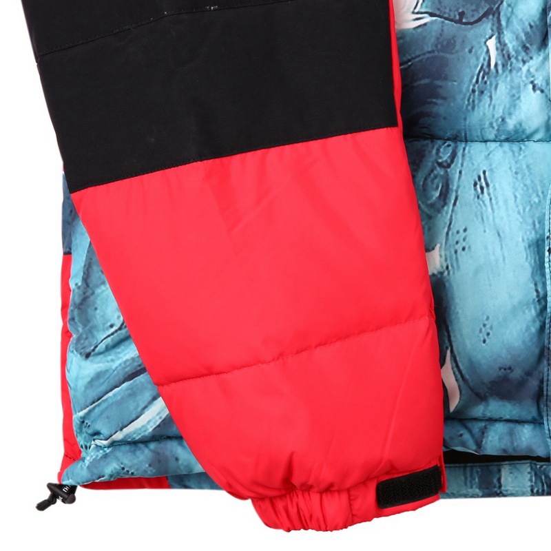 Supreme The North Face 联名自由女神连帽羽绒服顶级(图20)