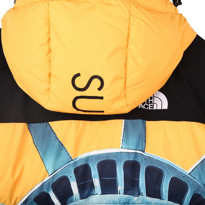 Supreme The North Face 联名自由女神连帽羽绒服顶级(图15)