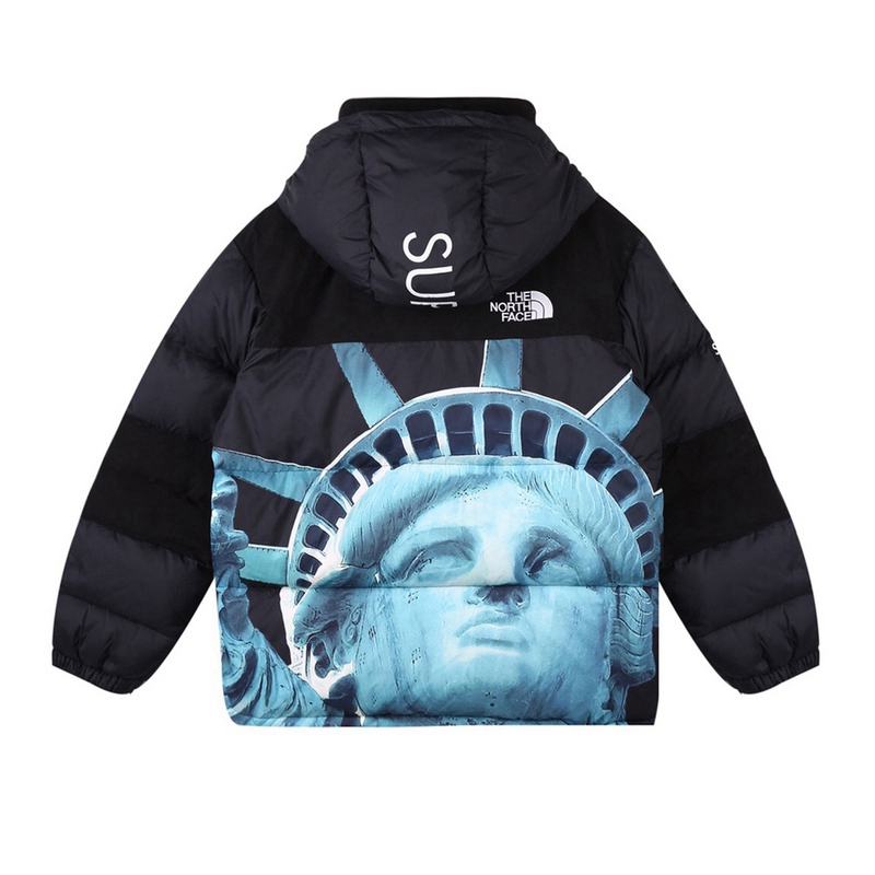 Supreme The North Face 联名自由女神连帽羽绒服顶级(图22)