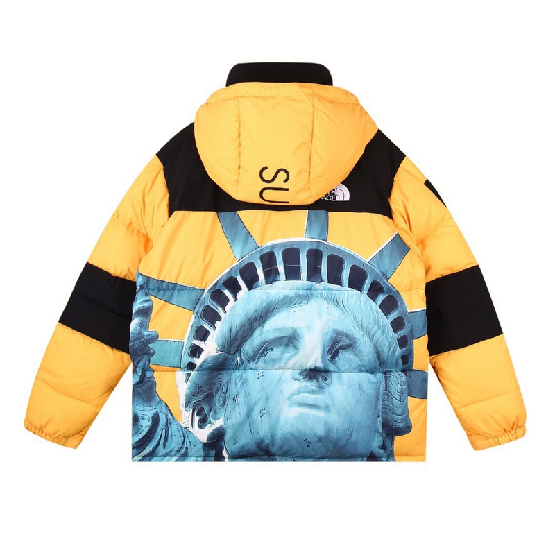 Supreme The North Face 联名自由女神连帽羽绒服顶级(图16)